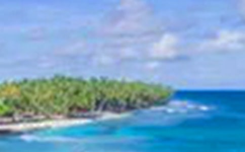 ��������԰��������14ƪ