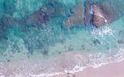 ��������-����