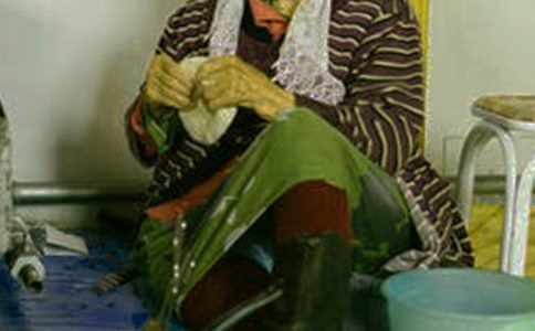 �ɹ����������