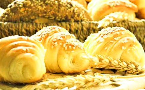 Ӫ���������