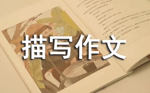 ������д����