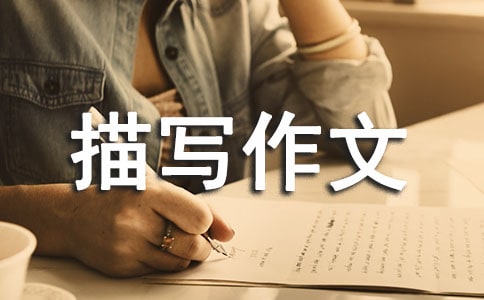 ϸ����д���ķ���