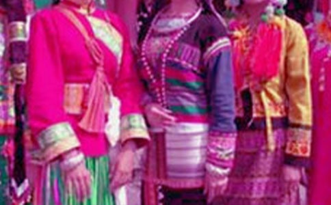 ������ѡ�Ρ�ʹ����������ɲ������ļ���ܽ�ı���