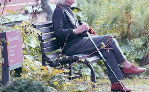 �������̵����ĺϼ�10ƪ