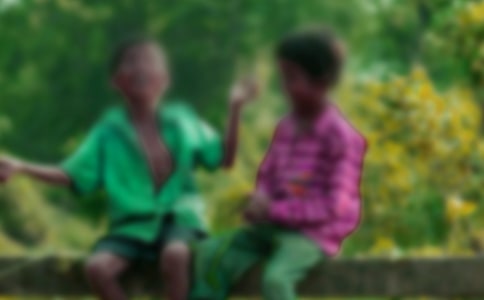 �Ǹ��к�����15ƪ