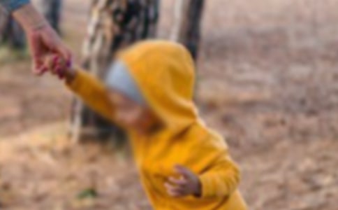 �����к��ļ��㽨��