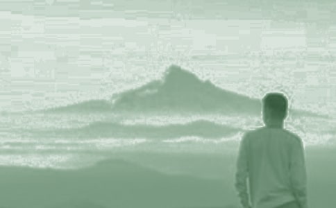 ����20����