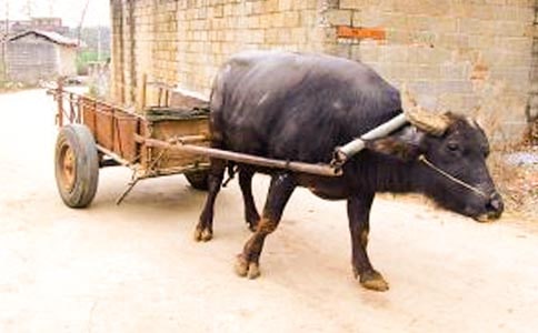 ţ���ϵ�����