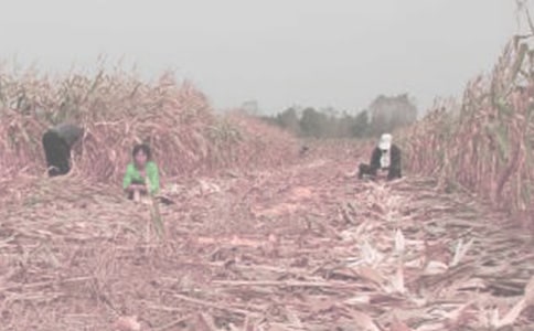 ��ũ������