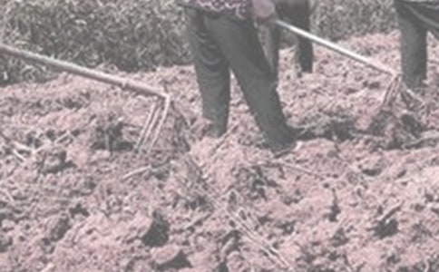 ��ũ�������