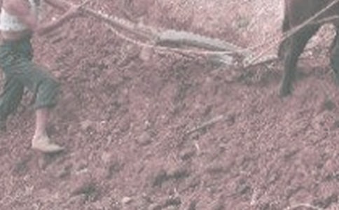 ��ũ������