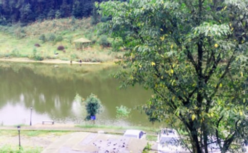 ȥũ�����淢����Ȧ�ľ���