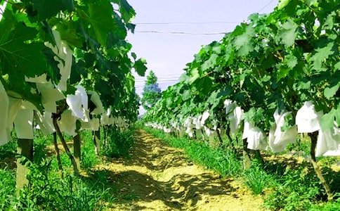 ũ��������15ƪ