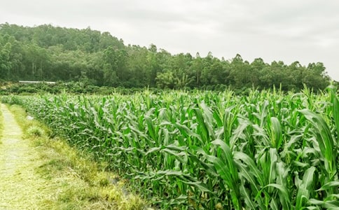 ��ũ��������