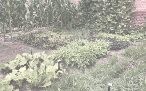 ũ��������������ͬ