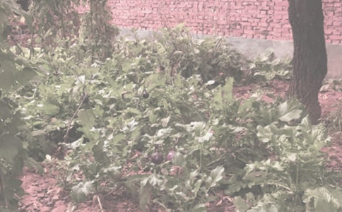 ũ�������ӹ����ͬ5ƪ