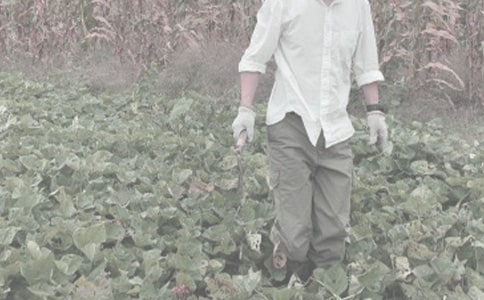 �й�ũ�����ֺ�ͬ4ƪ