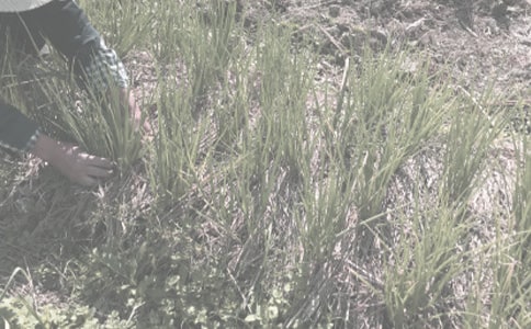 ����ʡũ��������������ͬ����