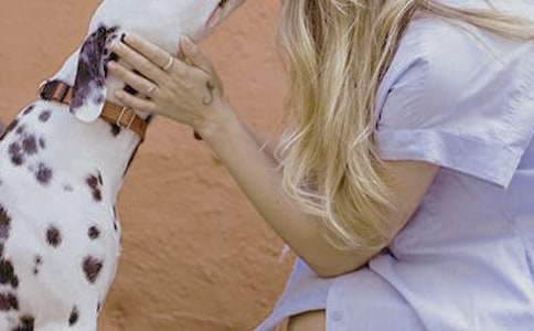 ˢ��ְ��Ů��άȨ����