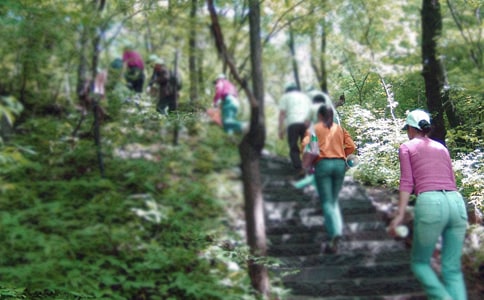 ��ɽ�������ķ�����7ƪ��