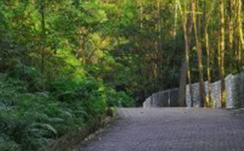 ��ɽ�������ĺϼ�[15ƪ]