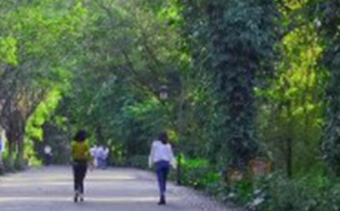 һ����������ɽ֮�ó�һ����