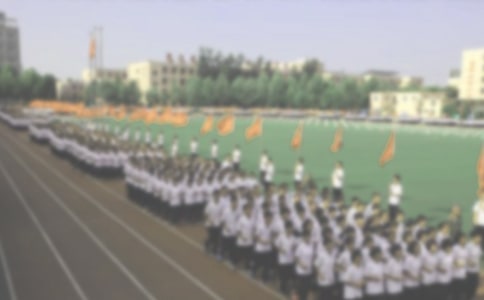 �ܲ���������(11ƪ)