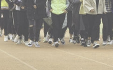 �ܲ��������ģ�ͨ��48ƪ��