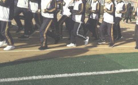 �ܲٵ�����15ƪ