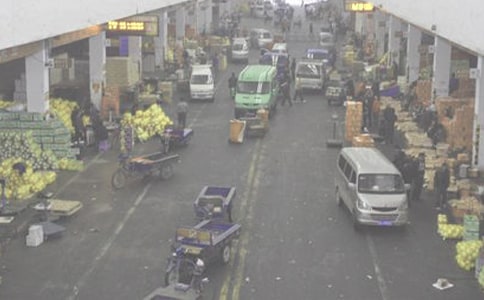 ������ͬ���ʮƪ