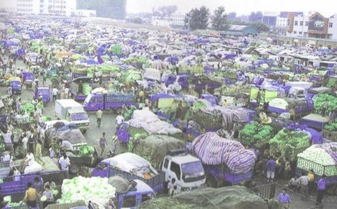 ҩƷ������ҵ�Բ鱨��15ƪ