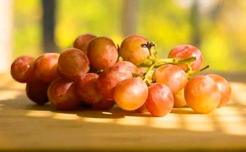 С�������㻭���ѽ̰�