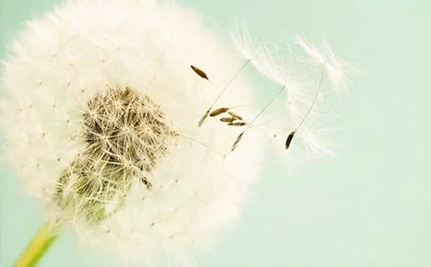 �аࡶ�ѹ�Ӣ�����ֽ̰�