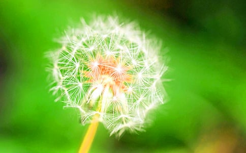 ���Ľ̰����ѹ�Ӣ��