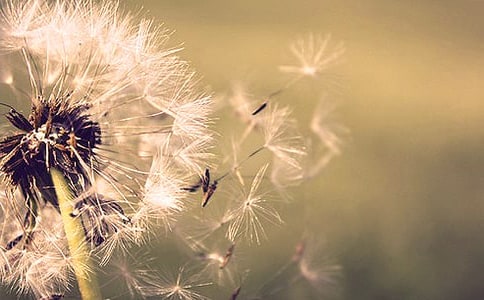 �����������̰���СС�ѹ�Ӣ��