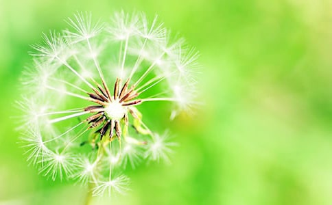 �������ѹ�Ӣ��־Ψ������150��