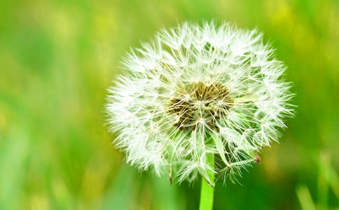 ����һ���ѹ�Ӣ����