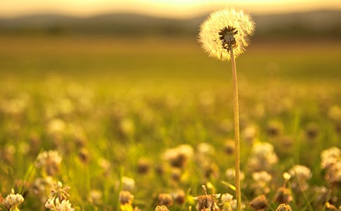 �ѹ�Ӣ���ġ����š�