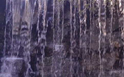 ���������ٲ�����ѧ����