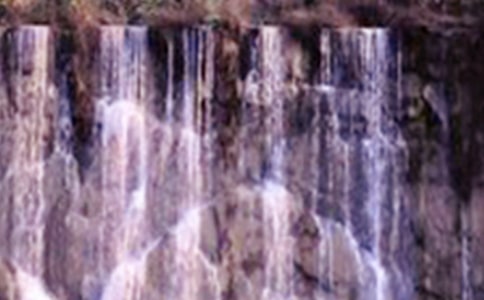 �������ٲ�7