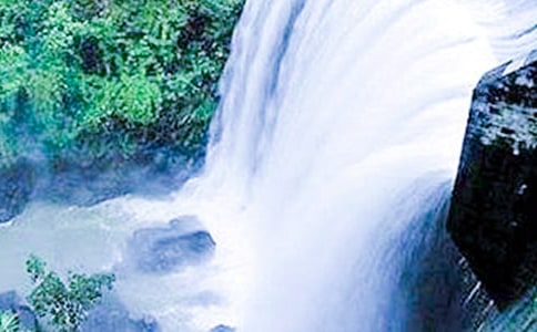 �����š��ƹ����ٲ�����