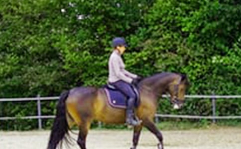 ��������������15ƪ