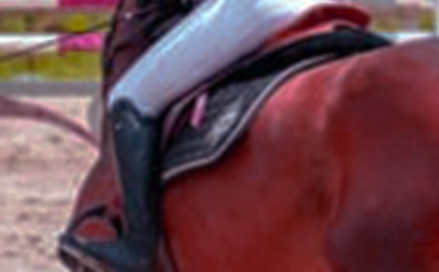 ��һ����������(����15ƪ)