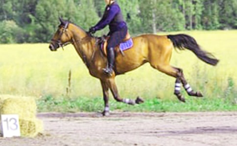 �а����������ȥ���ν̰���ͨ��5ƪ��