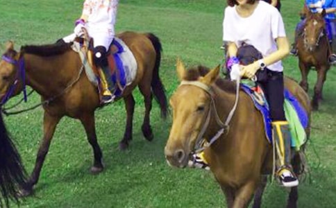 ������������(��ѡ15ƪ)