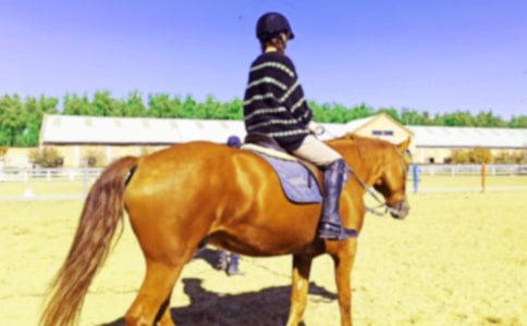 ������������15ƪ