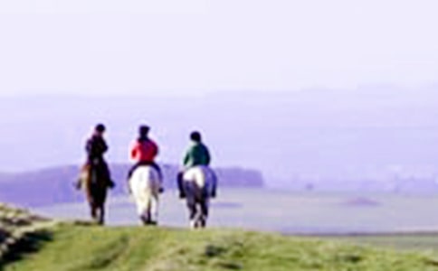 ���Ƽ�����һ����������