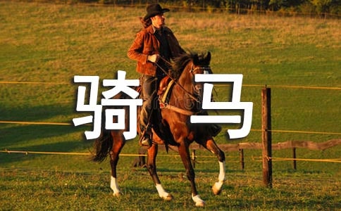 ������������(15ƪ)