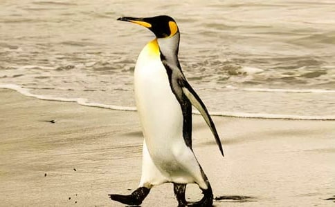 ��������ռǡ��ۺ��