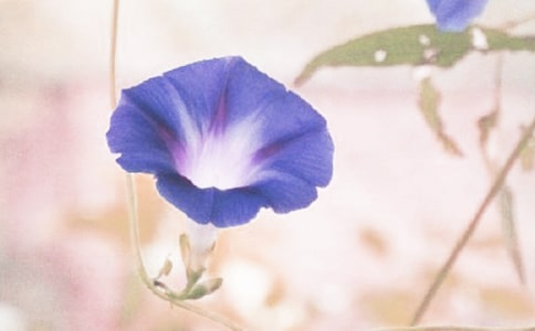 ��������ǣţ����